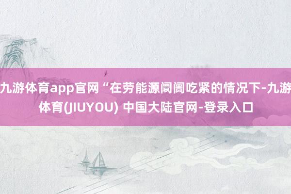 九游体育app官网“在劳能源阛阓吃紧的情况下-九游体育(JI