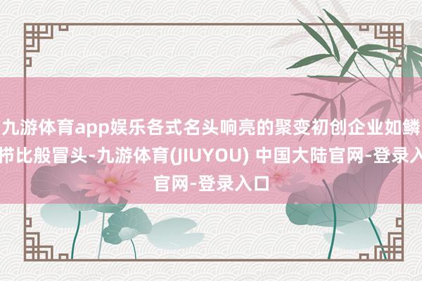 九游体育app娱乐各式名头响亮的聚变初创企业如鳞次栉比般冒头